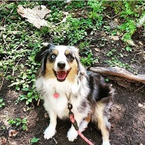 Meet your Posher, Jill